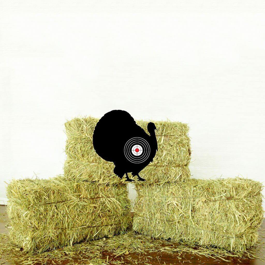10 Durable Animal Targets - Image 2