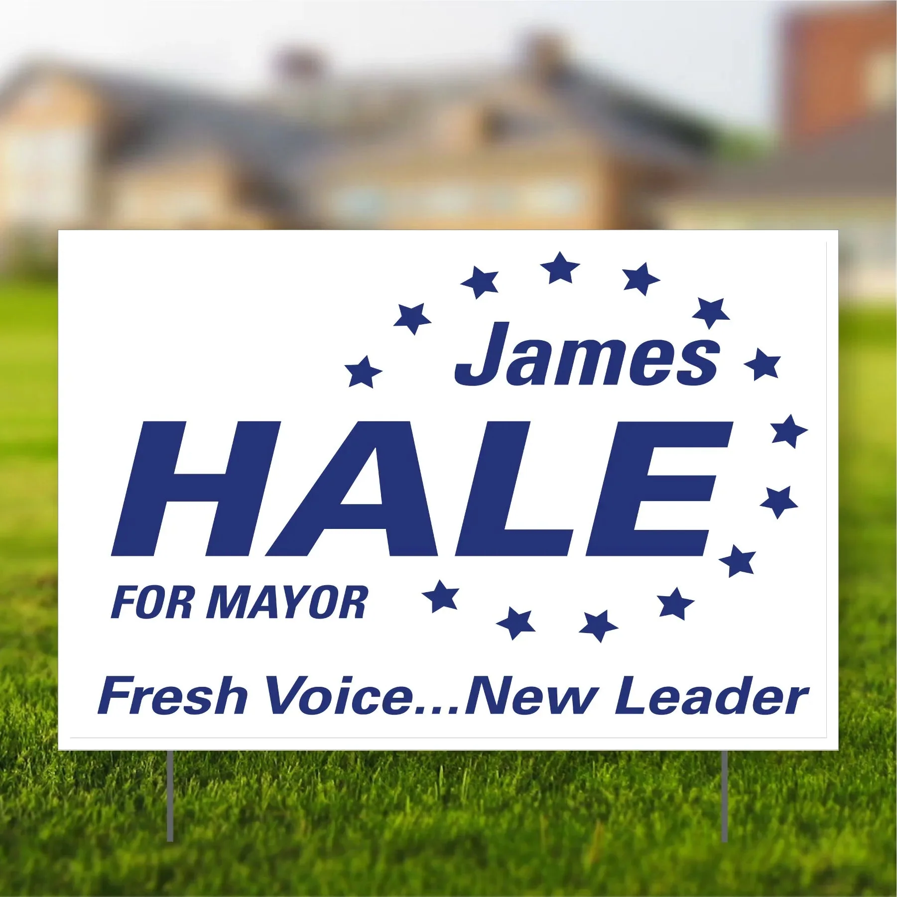 32"x48" Custom Political Road Sign - Image 4
