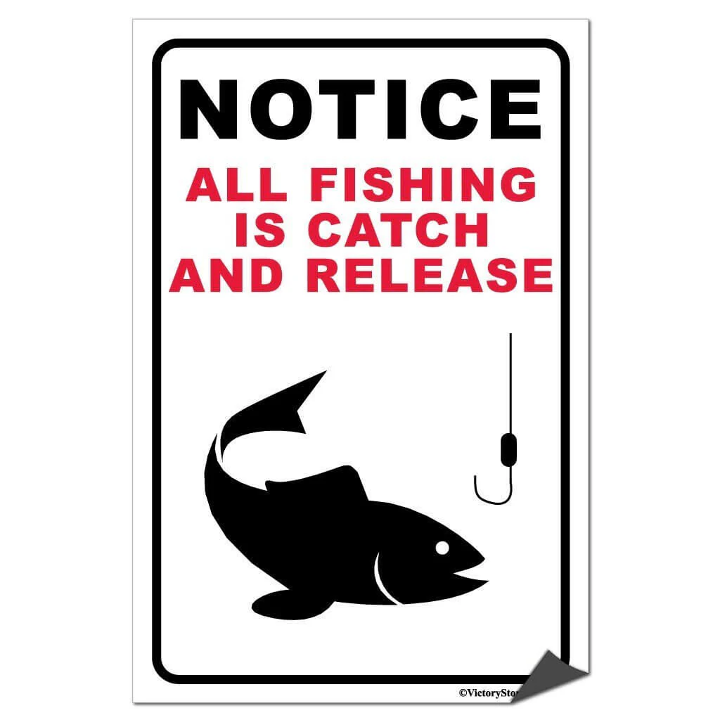 All Fishing is Catch and Release Sign or Sticker - Image 4