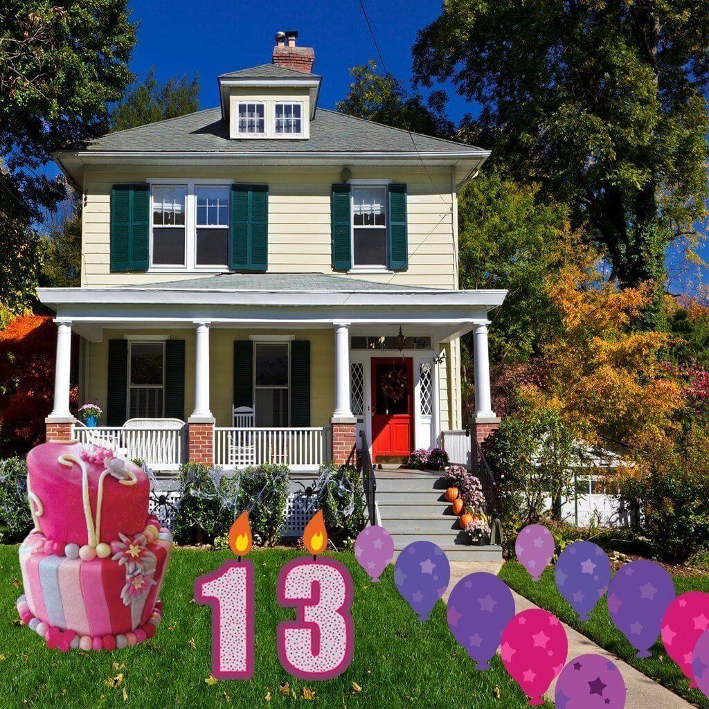 Youth Birthday Rental Business Package - Image 8