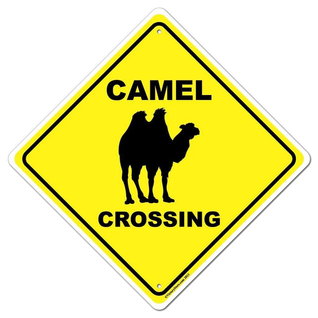 Camel Crossing Sign or Sticker - Image 3