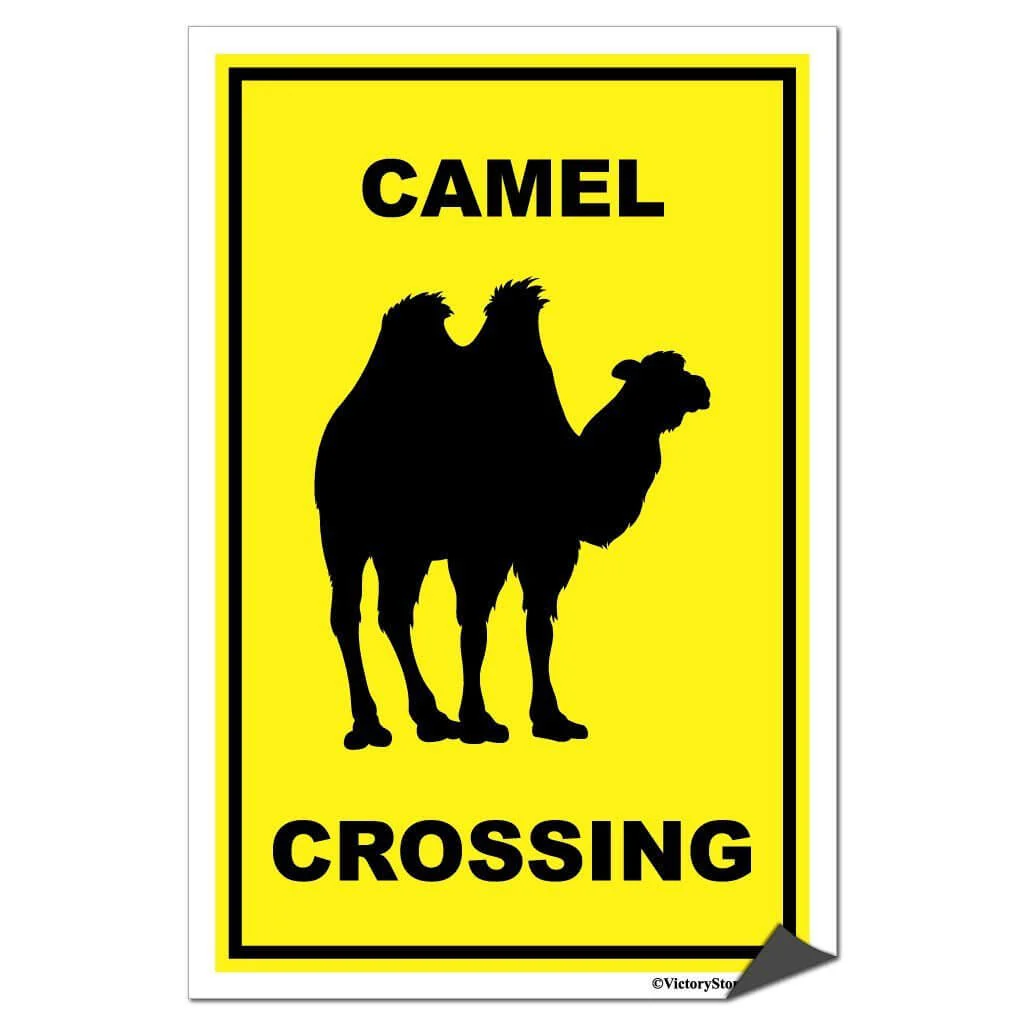 Camel Crossing Sign or Sticker - Image 7