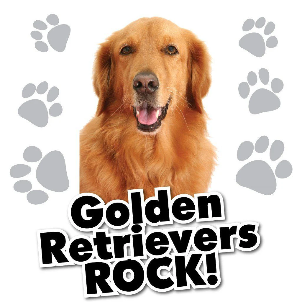 Golden Retrievers Rock! White T-Shirt - Image 2