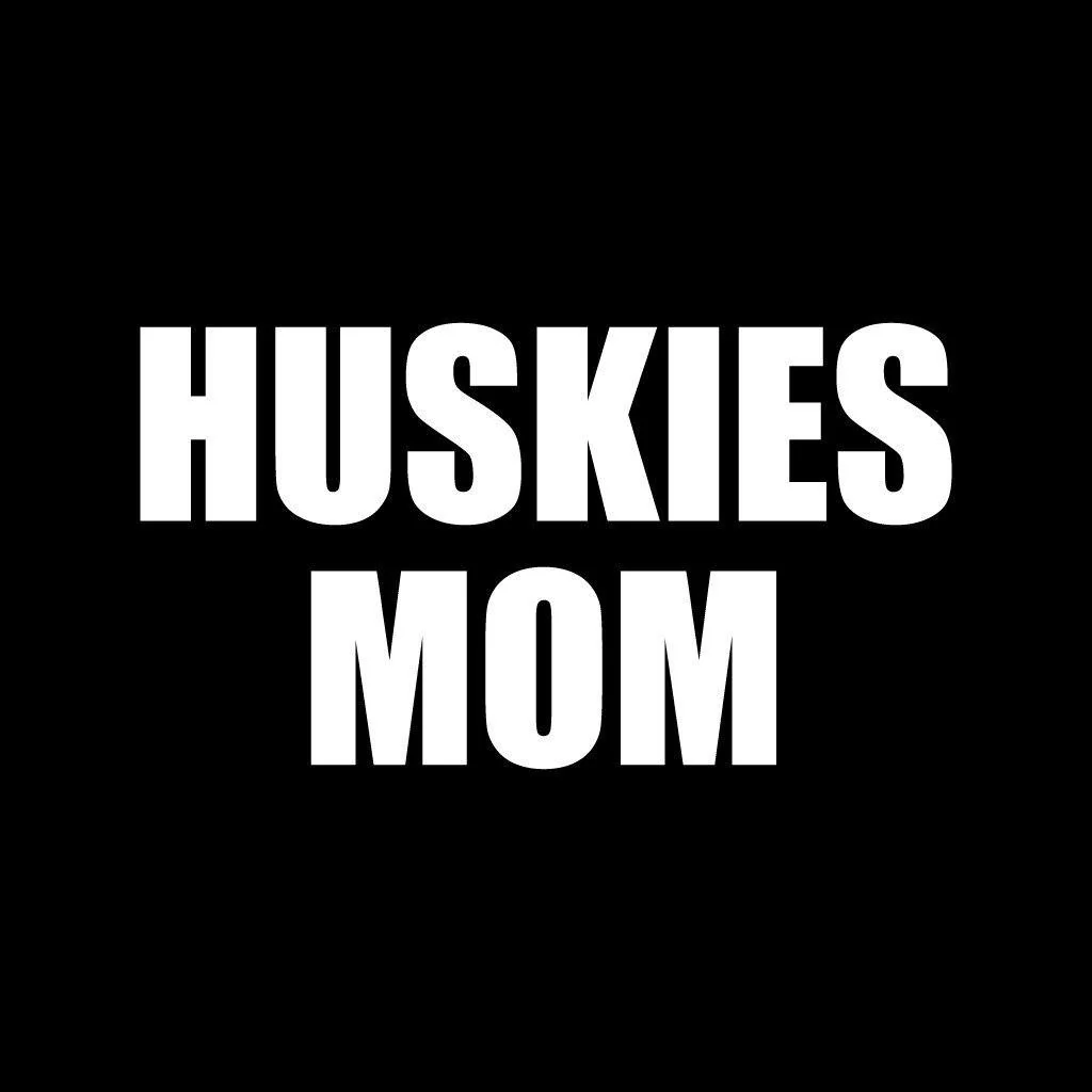 Huskies Parents Black Folding Camping Chair Set of 2 - Image 3