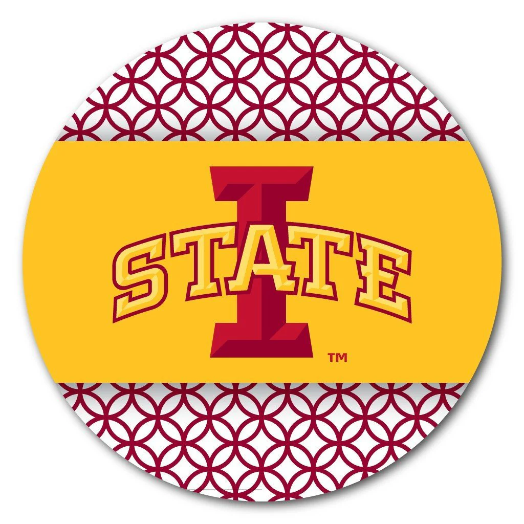 Iowa State University Patterned Coaster Set of 4 - Image 3