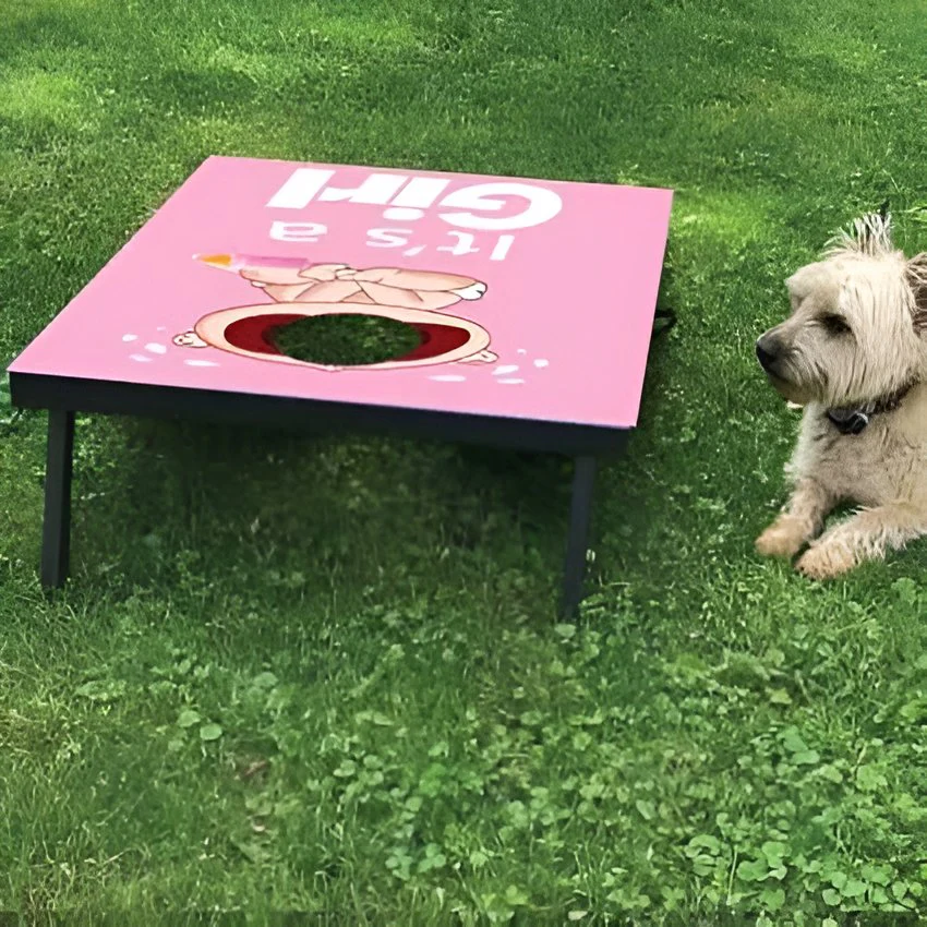 It's a Girl Bag Toss Game (Light Skin) - Image 3