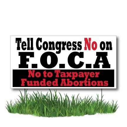 No on F.O.C.A. ProLife 2-Pack 12"x24" Yard Sign - Image 2