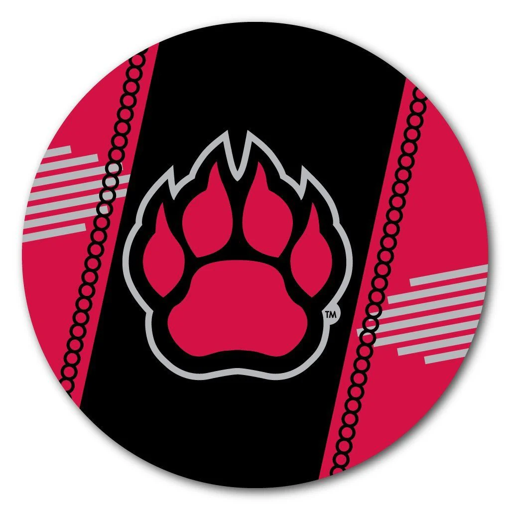 Northern Illinois University Fun Designs Coaster Set of 4 - Image 3
