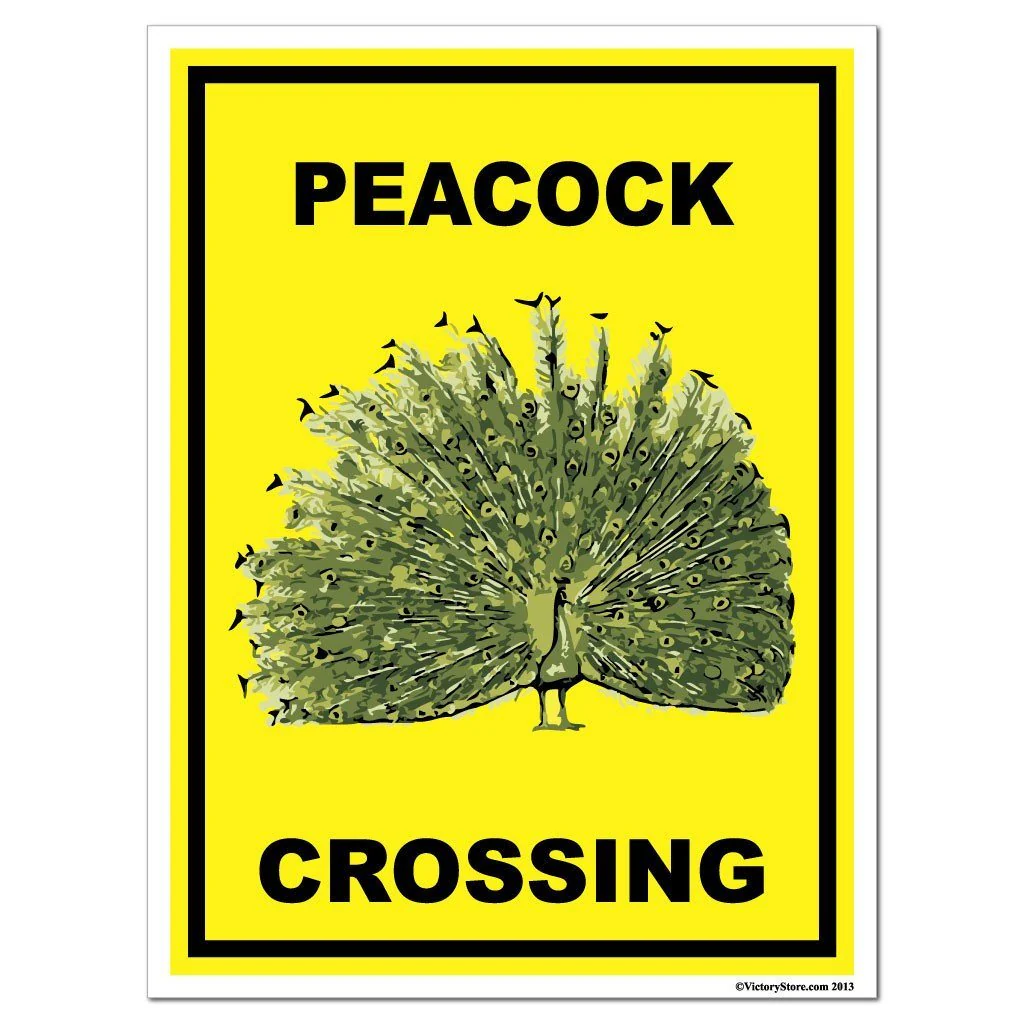 Peacock Crossing Sign or Sticker - Image 5