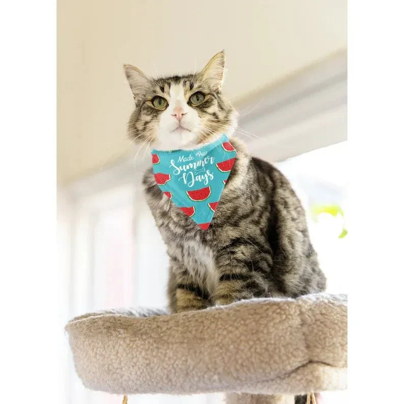 Pet Bandanas | Set of 12 - Image 4