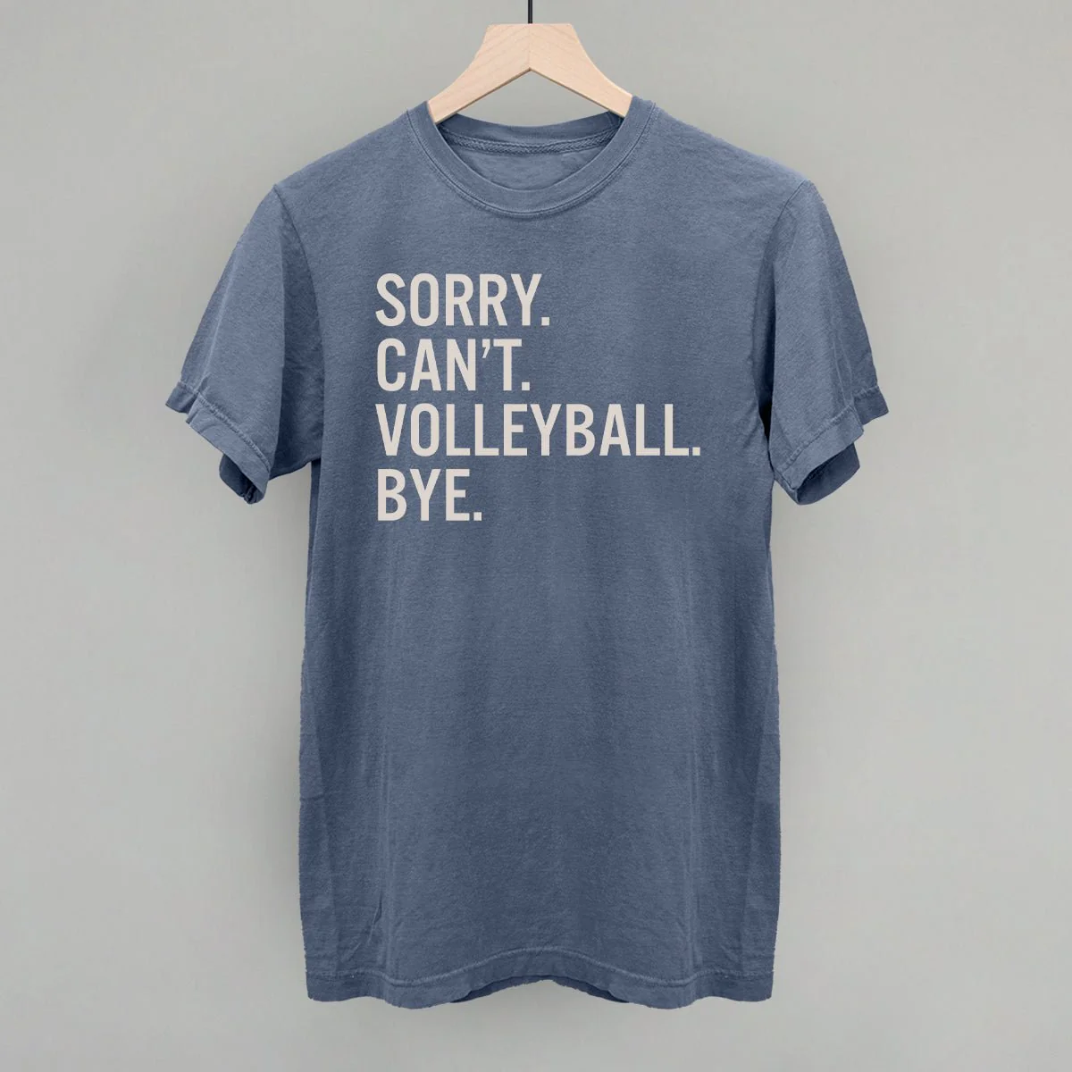 Sorry Can't Volleyball Bye - Image 10