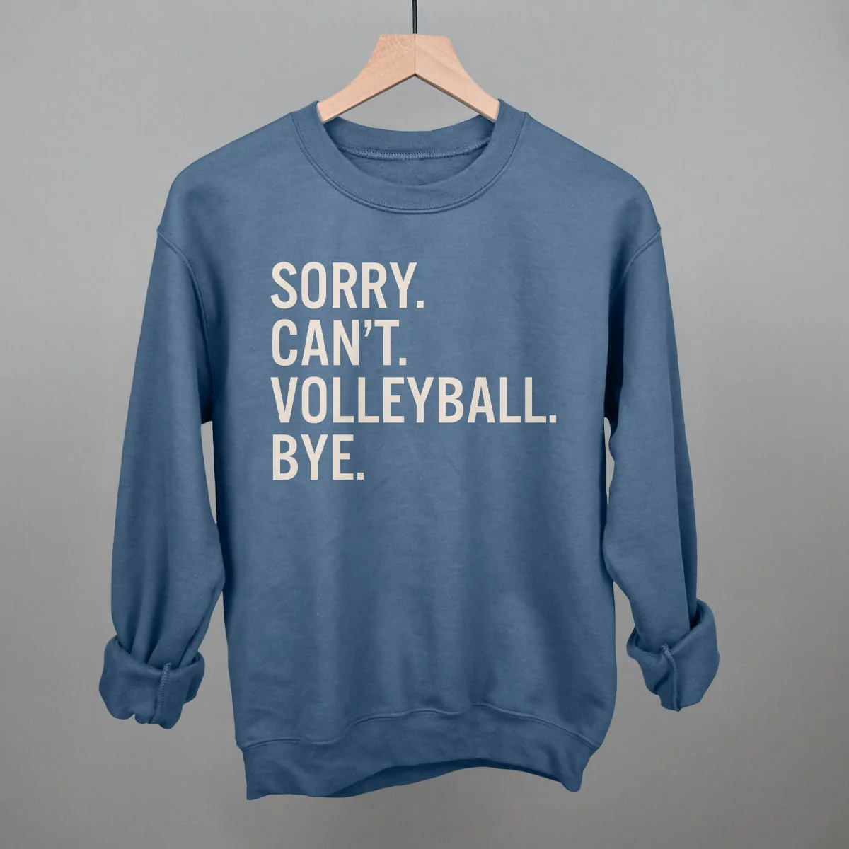 Sorry Can't Volleyball Bye - Image 14