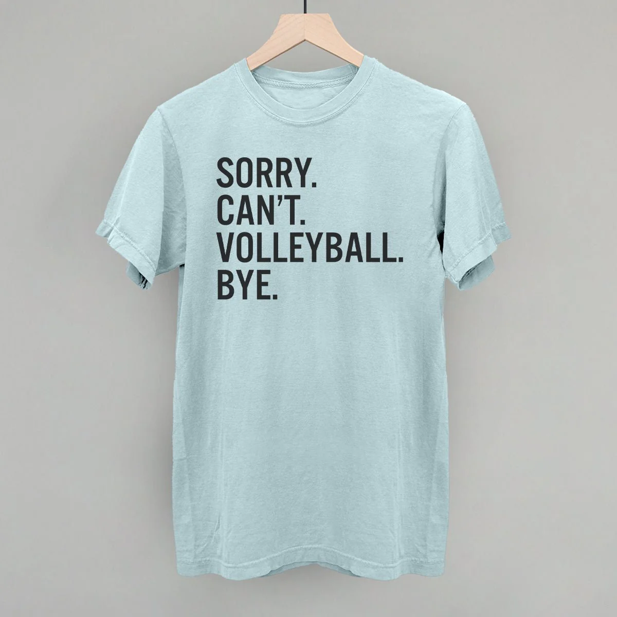 Sorry Can't Volleyball Bye - Image 4