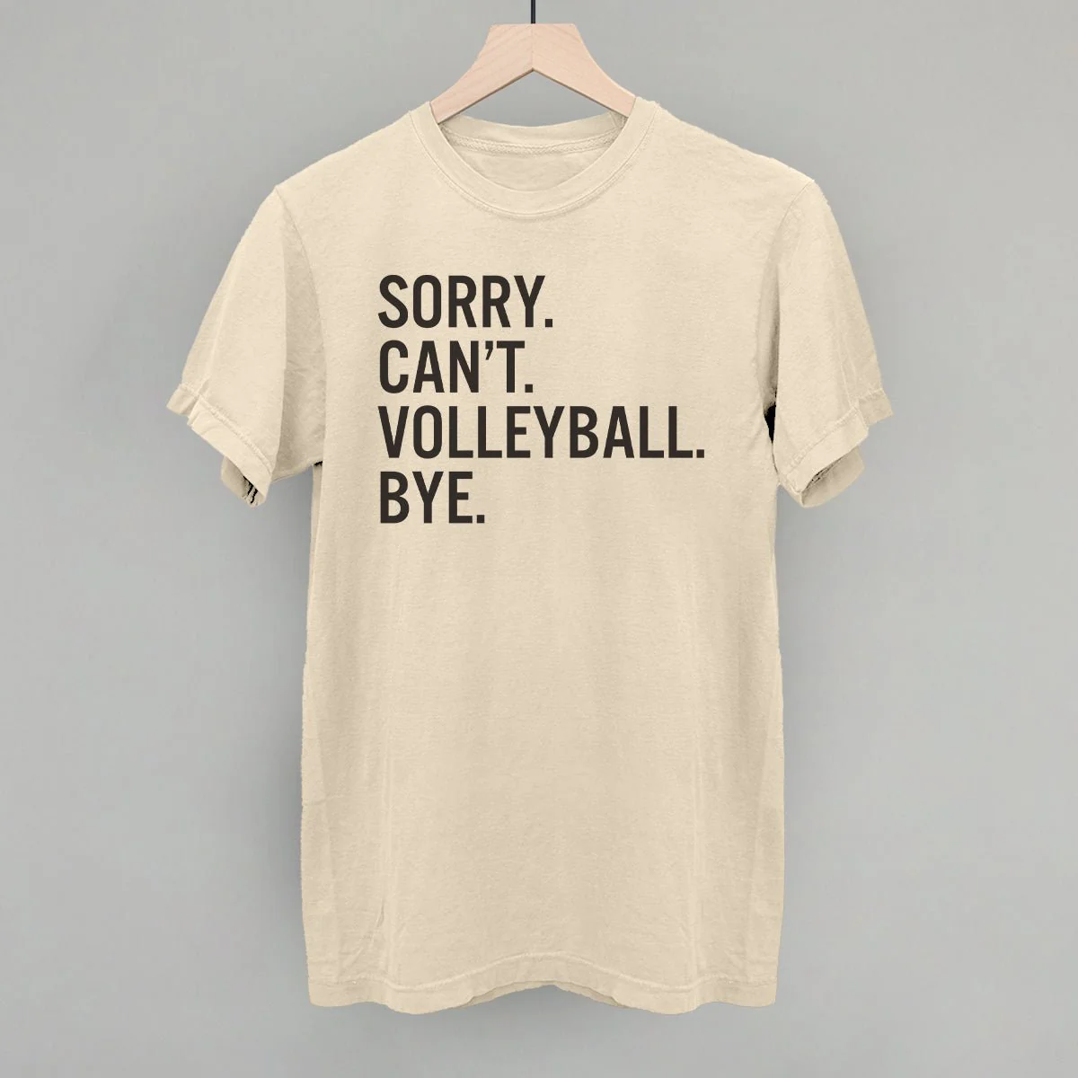 Sorry Can't Volleyball Bye - Image 5