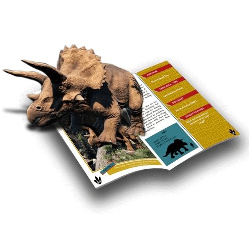 Space and Planets Augmented Reality Card Deck & Living in the Land Dinosaurs-AR Book - Bundle - Image 7
