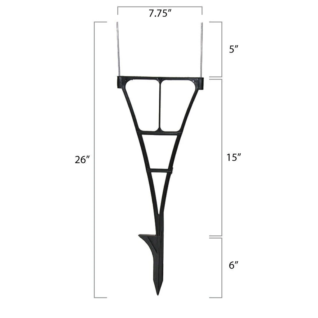 Spider Stakes - Image 2
