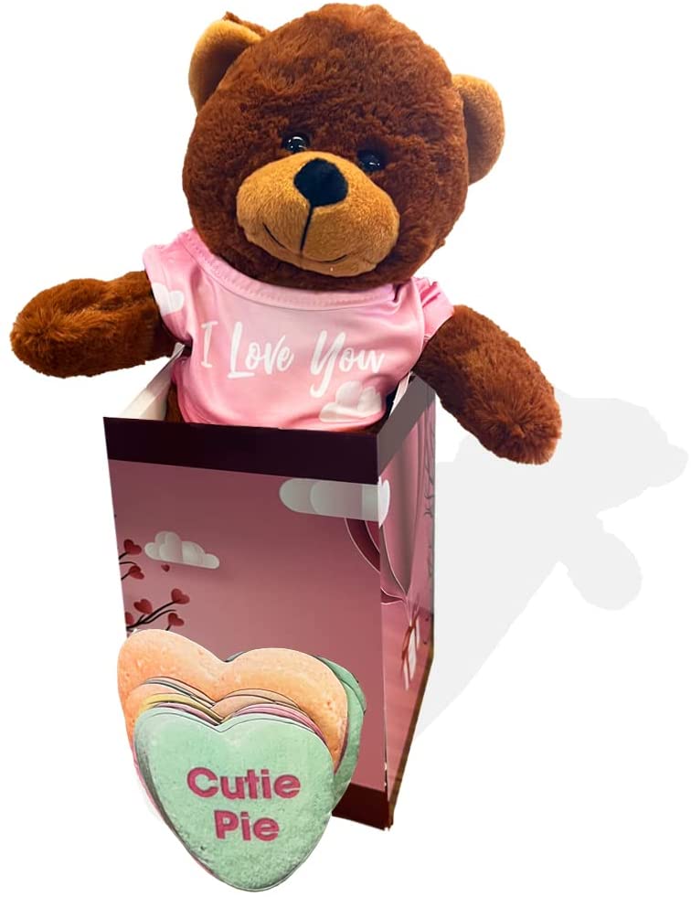 Valentine Gift Box: Plush Stuffed Bear with Candy Heart Magnets - Image 3